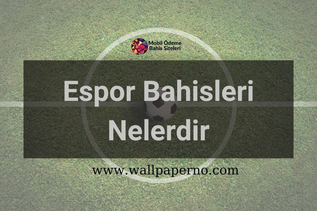 Espor Bahisleri Nelerdir